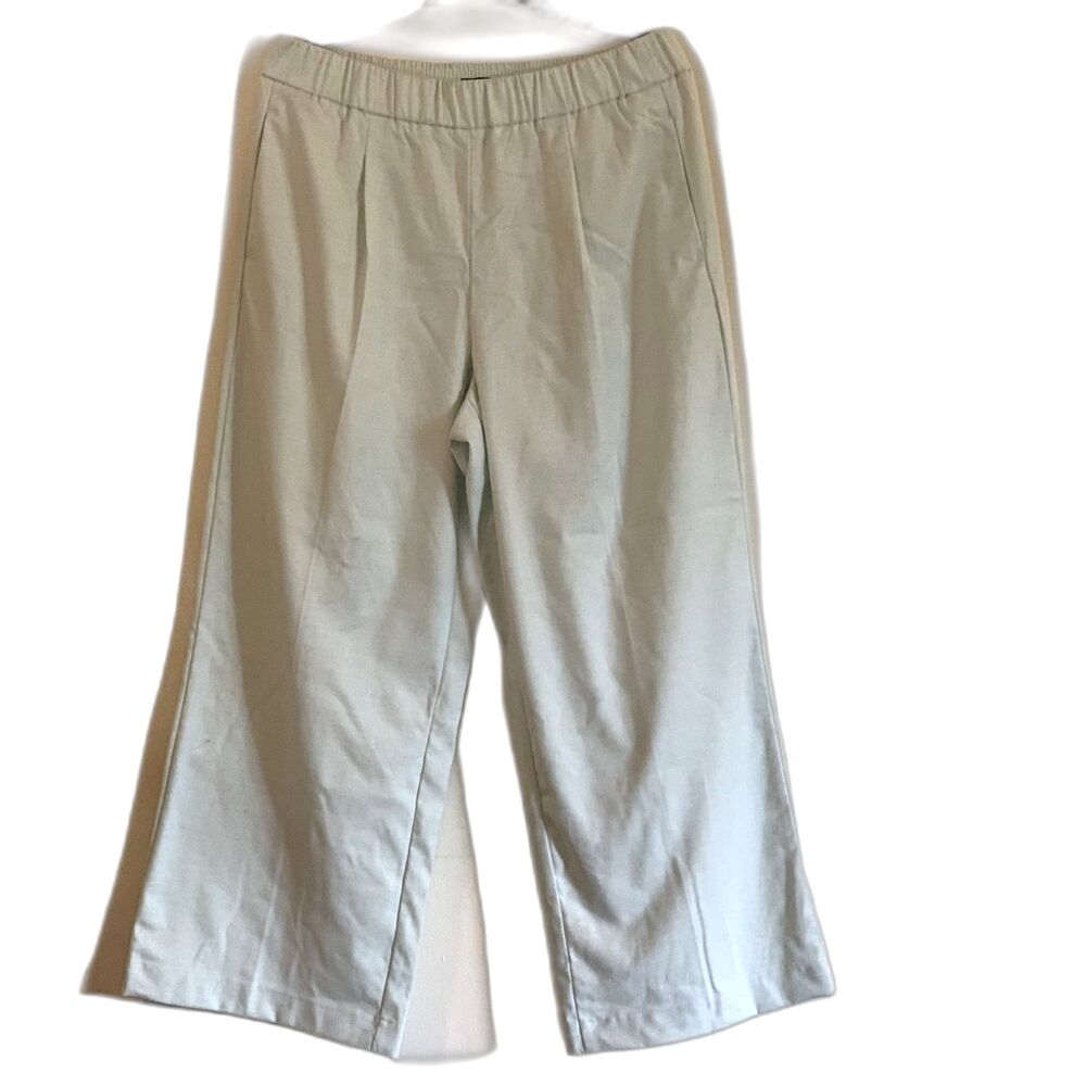 NWT Ann Taylor Petites Pants Mint Wide Leg Pull Up Trousers Pockets Petite Sz LP